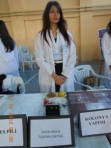 "BİLİM ŞENLİĞİ" - Büyükşehir Hüseyin Yıldız Anadolu Lisesi - İSTANBUL
