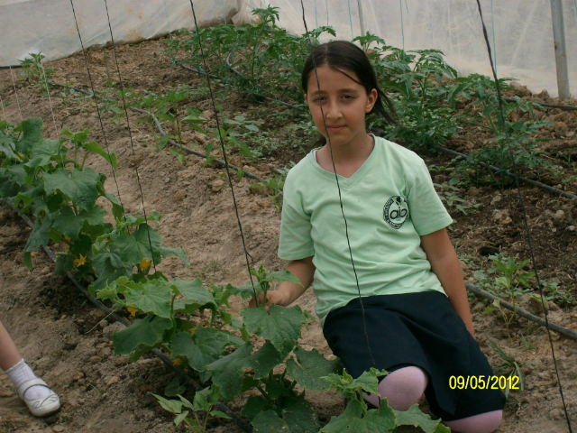 Bilinçli Gençler Derneği - Türkiye Bilinçli Gençlik Projesi - "ECO GARDEN(EKOLOJİK BAHÇE)" - Gaziemir Atatürk Ortaokulu - İZMİR